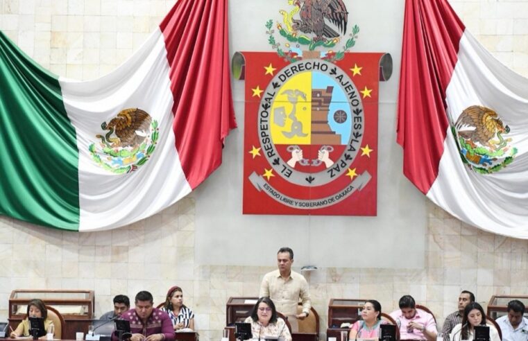 Proponen penas más severas para quien provoque incendios forestales