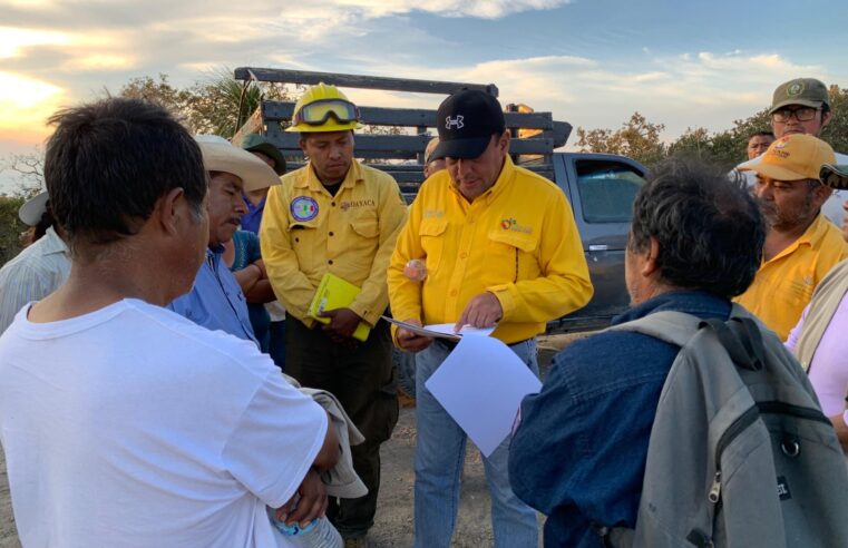 Controlado al 100% el incendio forestal en Tepelmeme Villa de Morelos