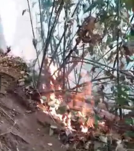 CONTINÚA INCENDIO EN LA ZONA CAFETALERA