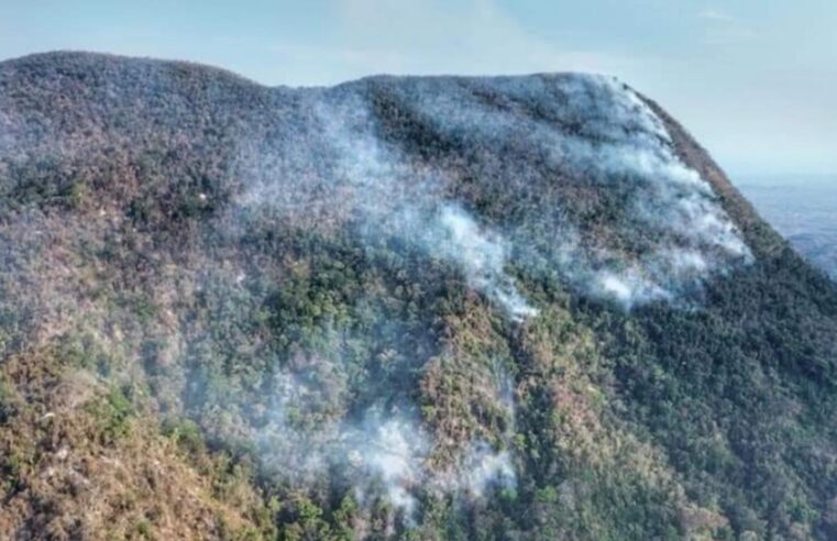Combaten incendio en la Costa