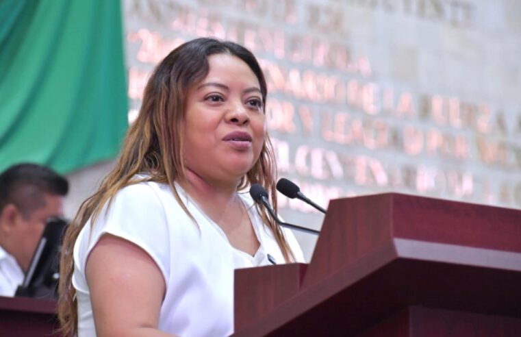 Llama coordinadora del Grupo Parlamentario del PRD a impulsar propuestas para regenerar los ecosistemas