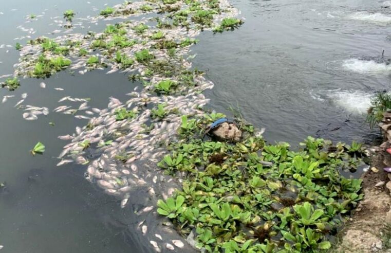 Emite CNDH recomendación para el rescate del río Los Perros