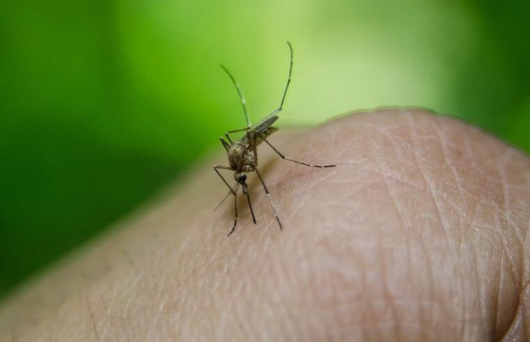 Fallece niña en Pinotepa Nacional por dengue