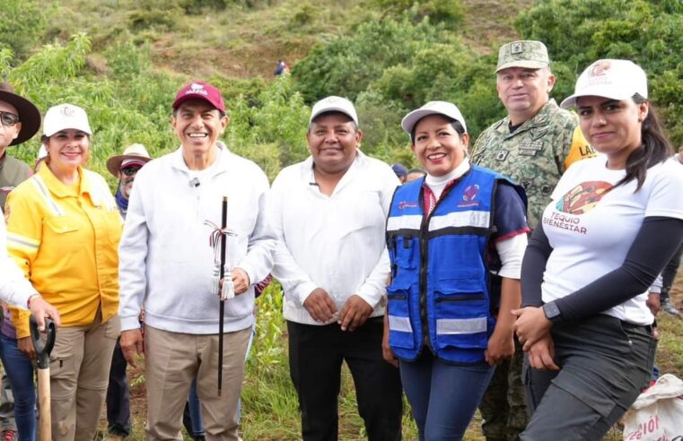 Mega Tequio de Reforestación en el Polígono de Monte Albán