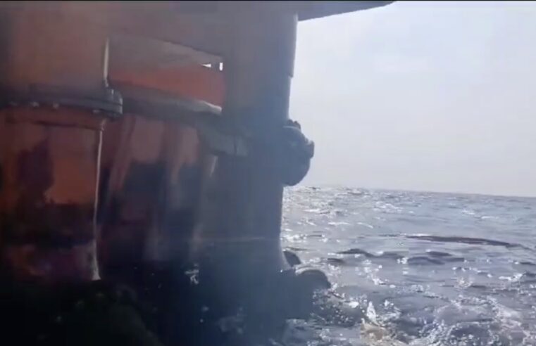 Derrame de hidrocarburos en Salina Cruz pone en peligro a diversas especies marinas