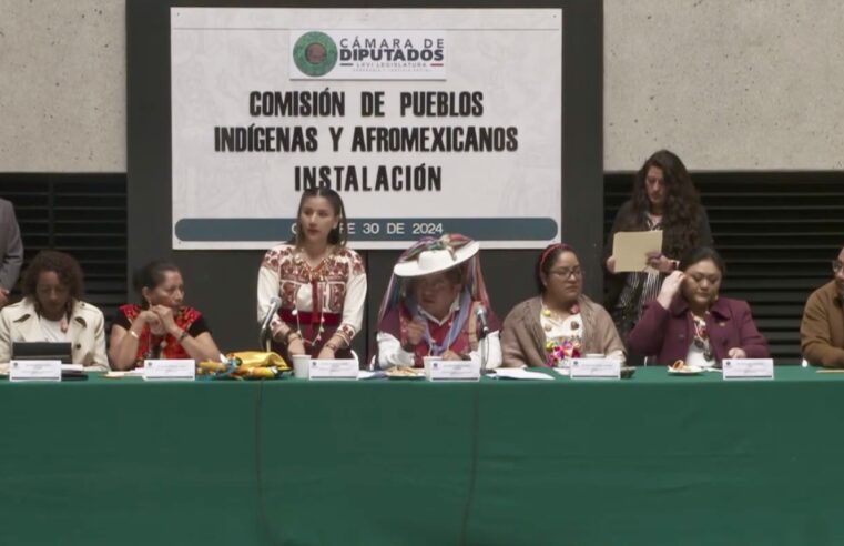 Eligen a una oaxaqueña para presidir la Comisión de Pueblos Indígenas y Afromexicanos en el Congreso de la Unión