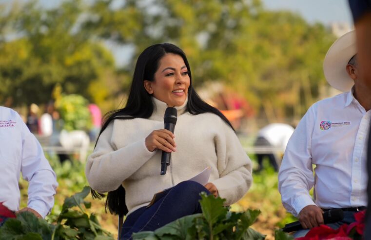 Saymi Pineda arranca los preparativos para la Noche de Rábanos 2024