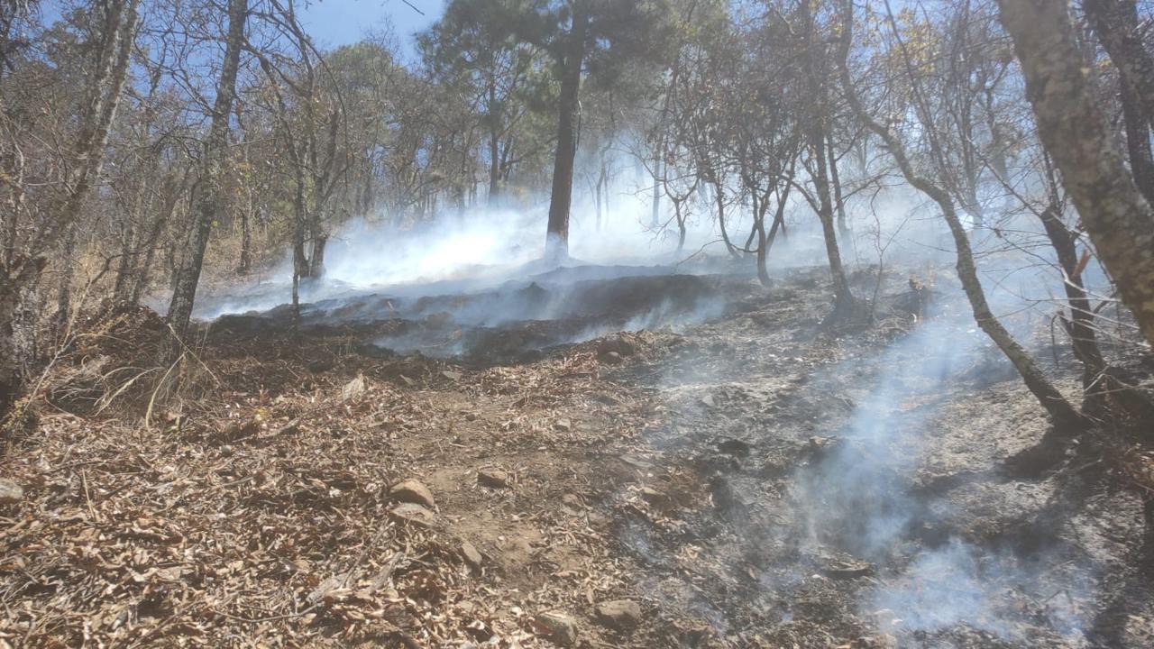 Reporta Coesfo control de incendio forestal en Santa María Peñoles