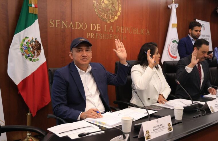 EN EL SENADO DEFENDEMOS LOS DERECHOS DE LAS PERSONAS EN MOVILIDAD»: ANTONINO MORALES