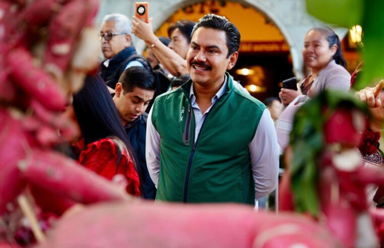 Noche de Rábanos 2025: Oaxaca de Juárez celebra su tradición más emblemática