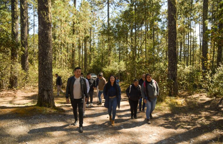 Saymi Pineda equipa a Pueblos Mancomunados “son el futuro turístico de Oaxaca”