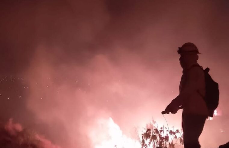 Salomón Jara gira instrucciones para atender de inmediato incendio en el cerro de Santa Anita en Xoxo