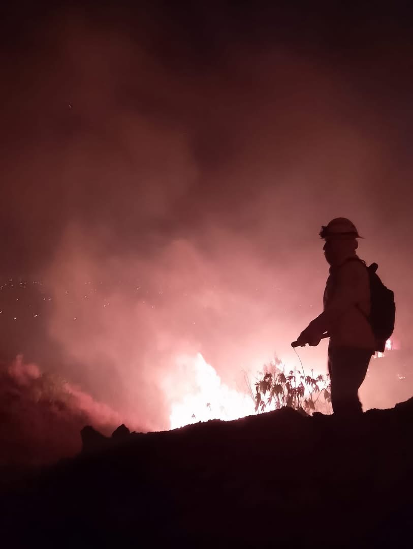 Salomón Jara gira instrucciones para atender de inmediato incendio en el cerro de Santa Anita en Xoxo