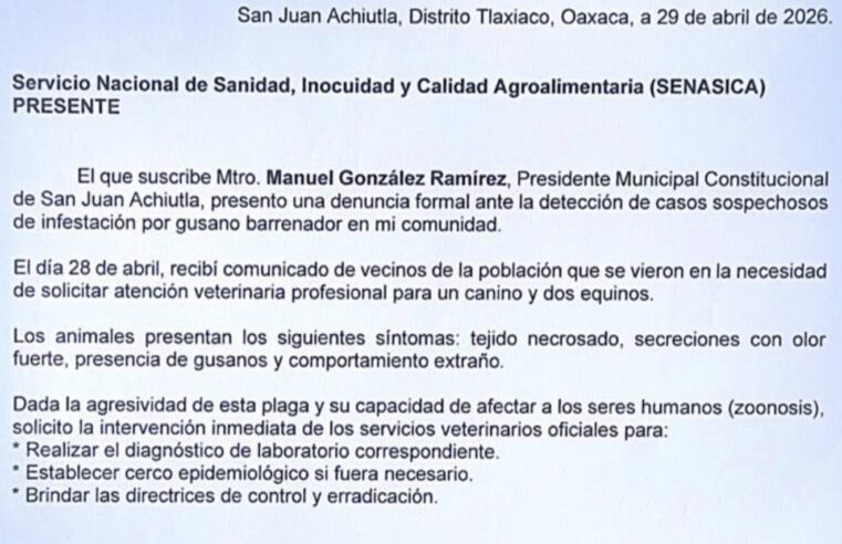 Autoridades de Achiutla, Tlaxiaco piden apoyo urgente ante posibles casos de Gusano Barrenador