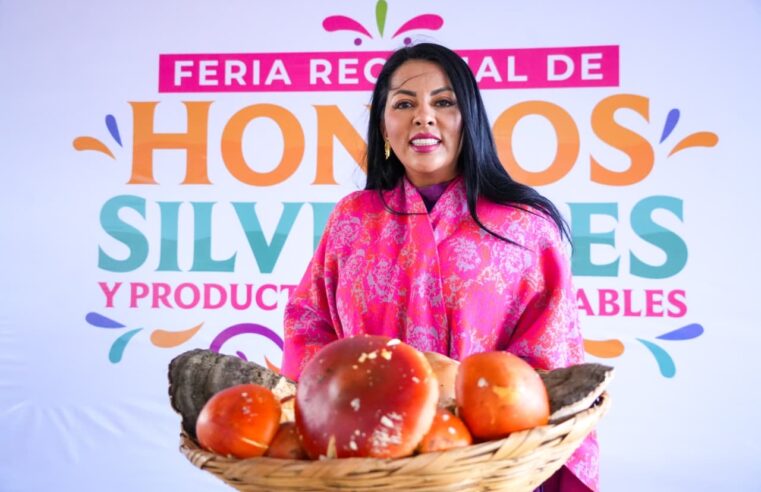 Muestra San Antonio Cuajimoloyas su riqueza biocultural en la Feria Regional de los Hongos Silvestres
