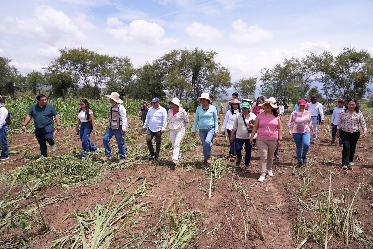 Recupera Ayuntamiento de Santa Cruz Xoxocotlán casi cuatro hectáreas de predio