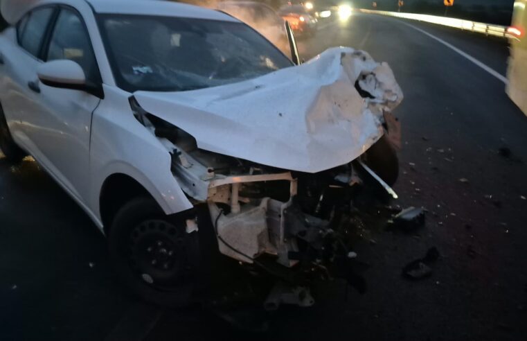 Tragedia en la carretera federal 175