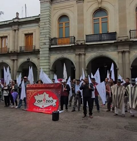 Denuncian presuntas extorsiones a productores; OPIDEO pide investigar