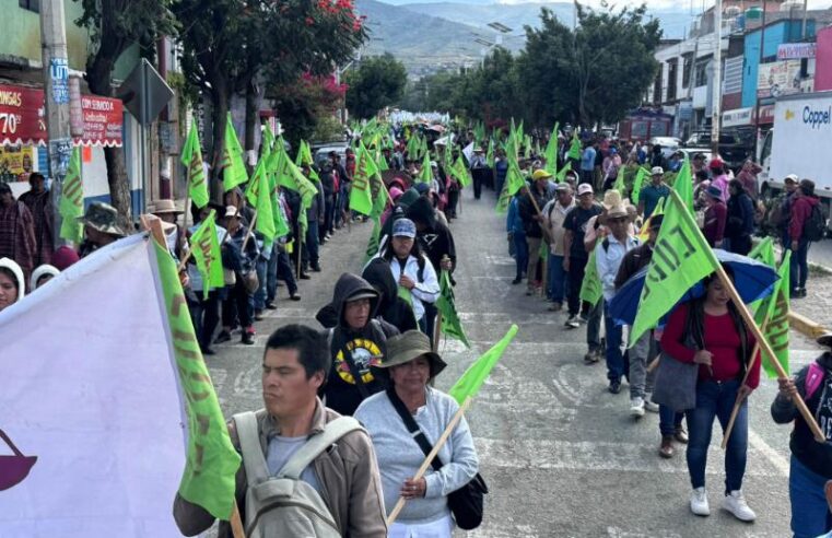 Marchan en Oaxaca para exigir justicia por el crimen de Catarino Torres Pereda