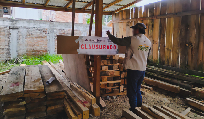 Clausuran maderería en Tlaxiaco; aseguran más de mil piezas de pino